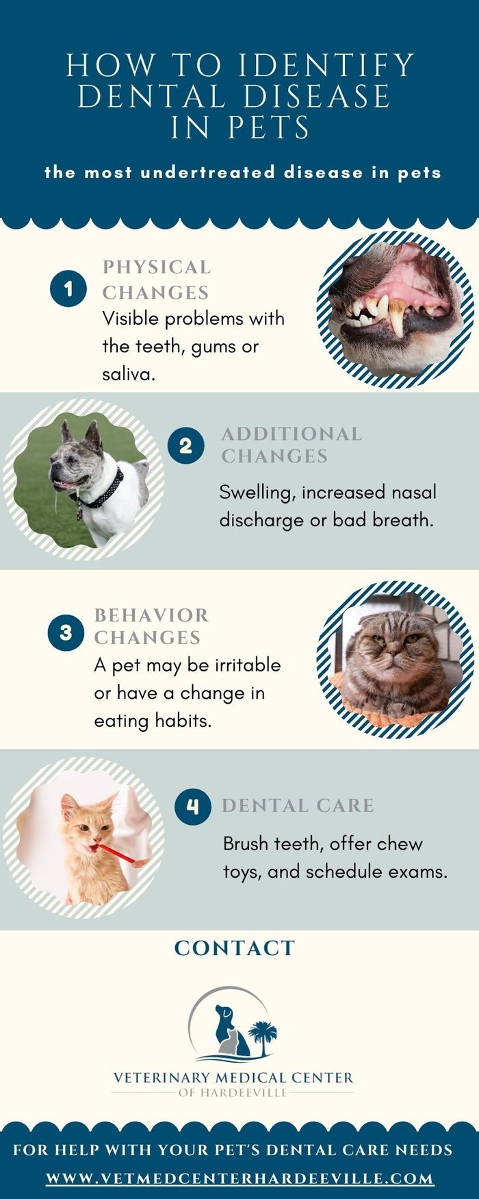 M32826-How to Identify Dental Disease in Pets (2).jpg