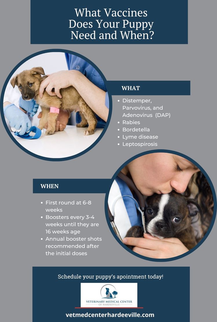 Puppy Vaccines (1).jpg