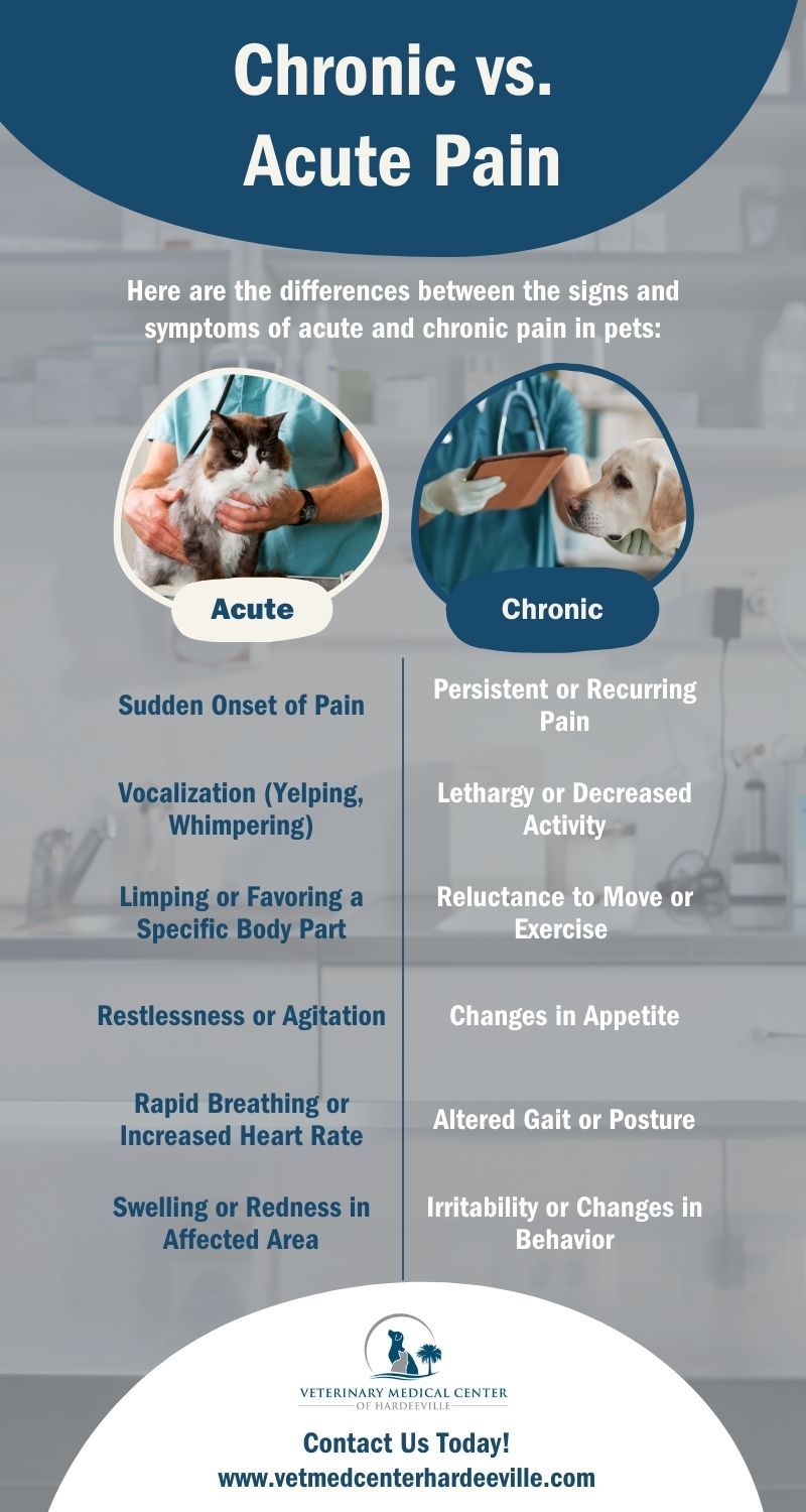 M32826 - Infographic - The Difference Between Acute and Chronic Pain.jpg