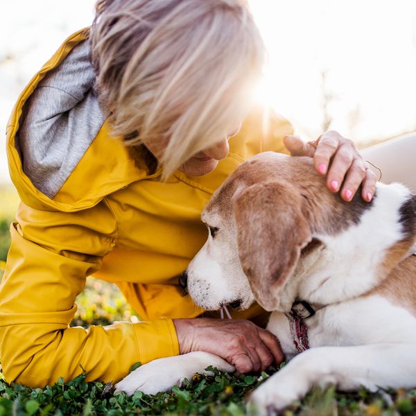 A woman lying in the grass and petting her brown and white dog.