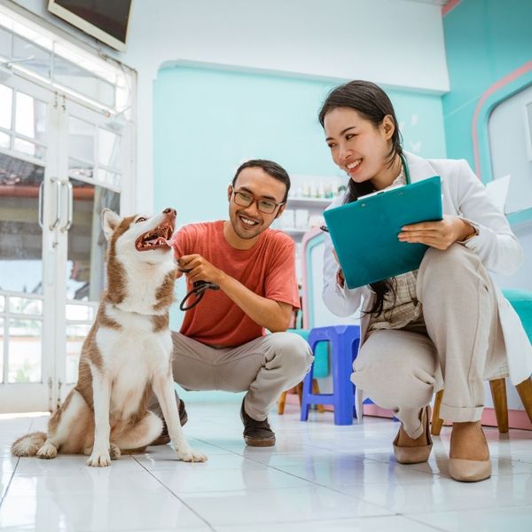 veterinarian talking to an owner about pet wellness plan