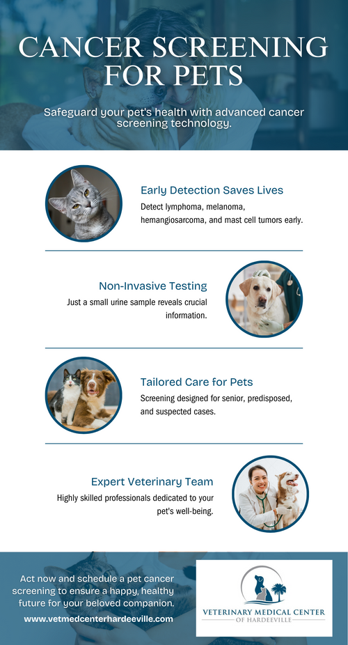 M32826 - Veterinary Medical Center of Hardeeville - Infographic Design - Cancer Screening for Pets.png