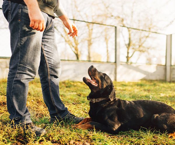 a man playing with his dog