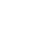 white dog wearing head cone icon