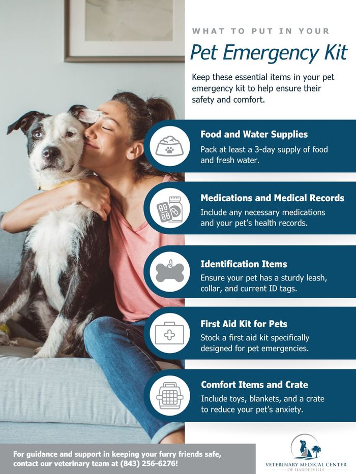 M32826 - Infographic - What to Put in Your Pet Emergency Kit.jpg