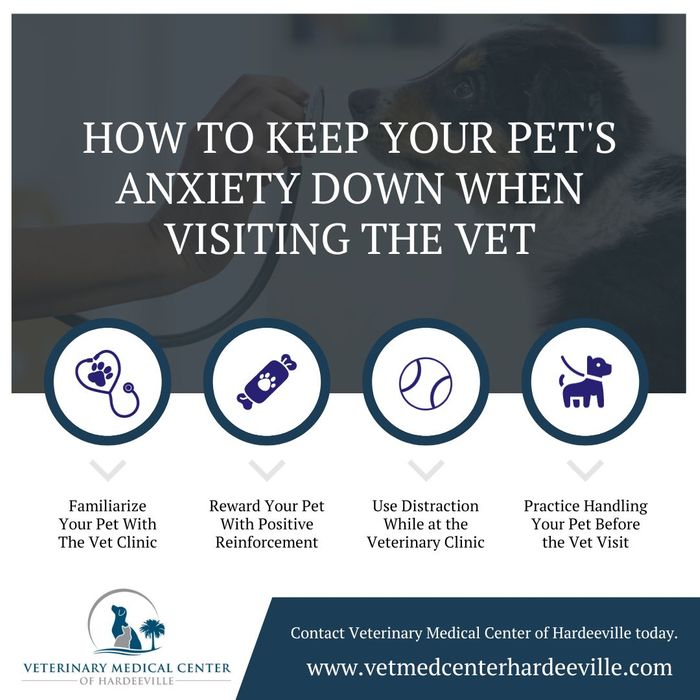 How To Keep Your Pets Anxiety Down When Visiting The Vet Infographic