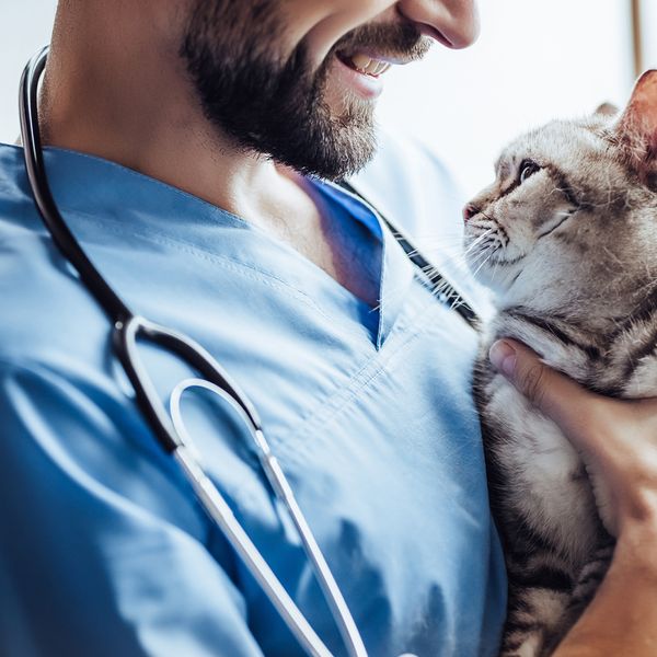 A man smiling while holding a cat.