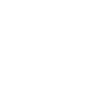 white cat icon