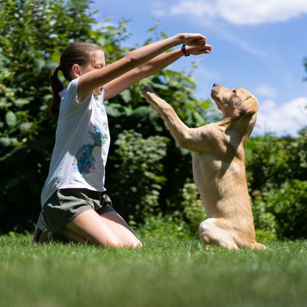 girl teaching a dog to beg