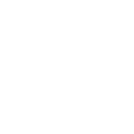 white cat digestive system icon