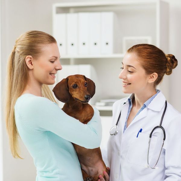 owner holding dog with veterinarian