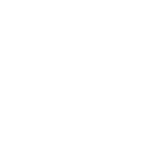 white bird icon