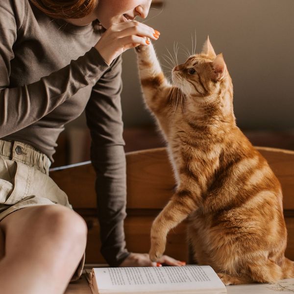 woman playing with her cat by a book