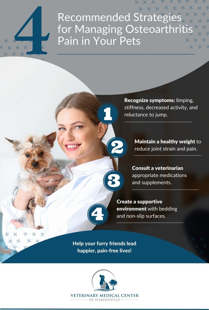 Infographic - M32826 - Veterinary Medical Center of Hardeeville.jpg