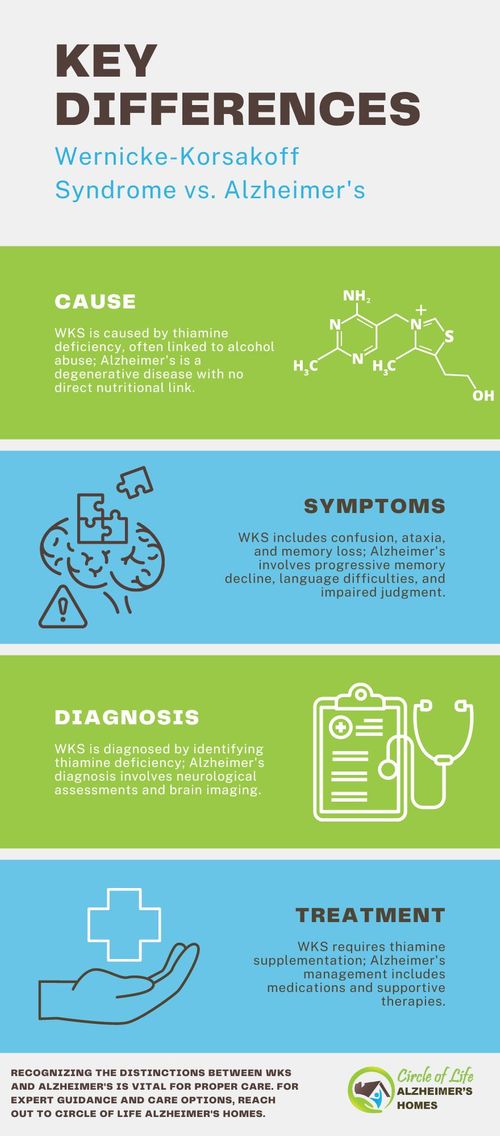 Wernicke-Korsakoff Syndrome vs. Alzheimer's.jpg