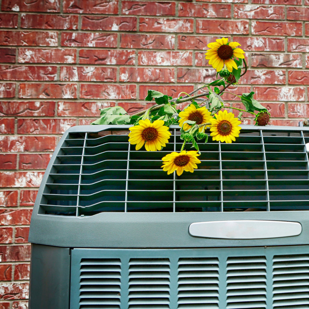 AC Installation & Replacement - 1.png