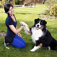 Image of a dog doing a trick