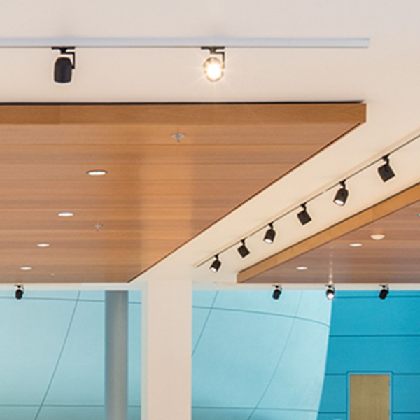 1 How to Use Accent Lighting to Highlight Artwork and Decor.jpg