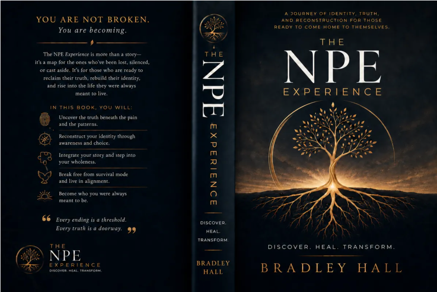 The NPE Experience book by Bradley Hall