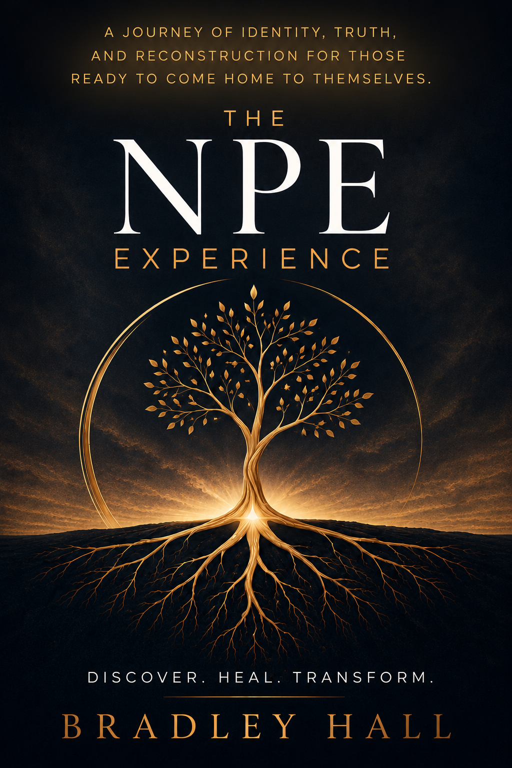 The NPE Experience Book Cover