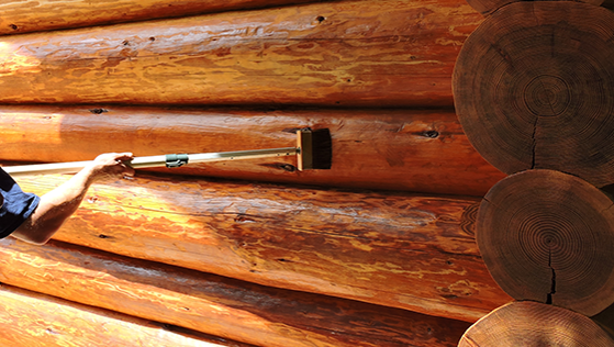 staining.png