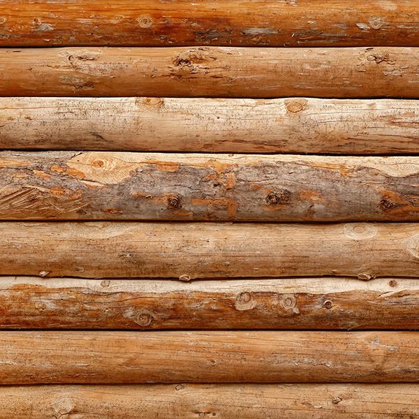 Florida Log Home Construction PB Image 2.jpg