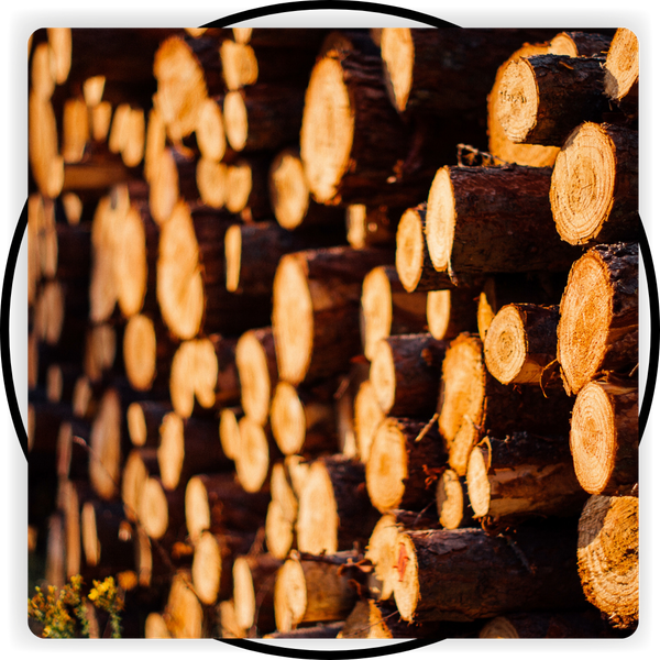 Stack of logs