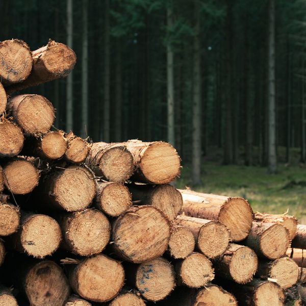 Boone North Carolina Log Home Construction - 2.jpg
