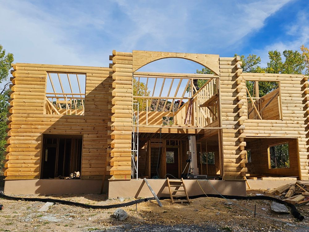 romero in progress 2.jpg