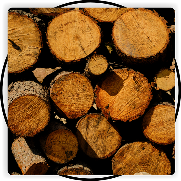 Stack of wood logs
