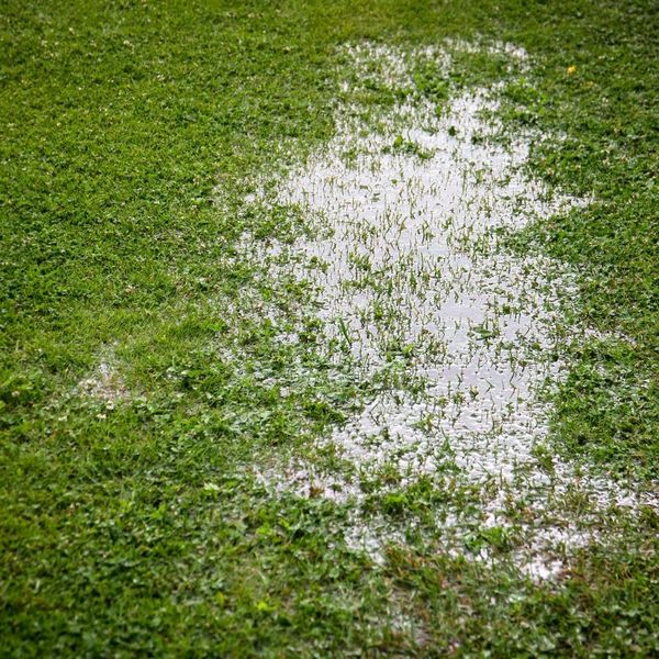 soggy lawn