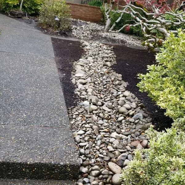 A landscaped yard featuring a dry creek bed made of smooth river stones, running alongside a paved path.