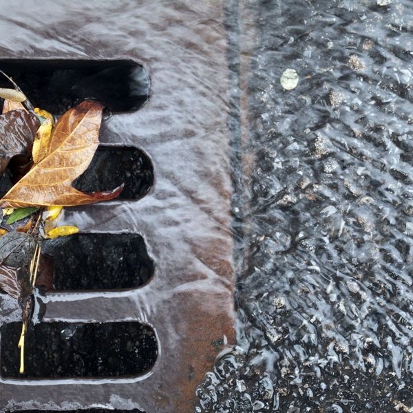 storm drain with water and leaves 
