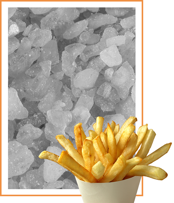 An image of seasoned fries with sea salt in the background