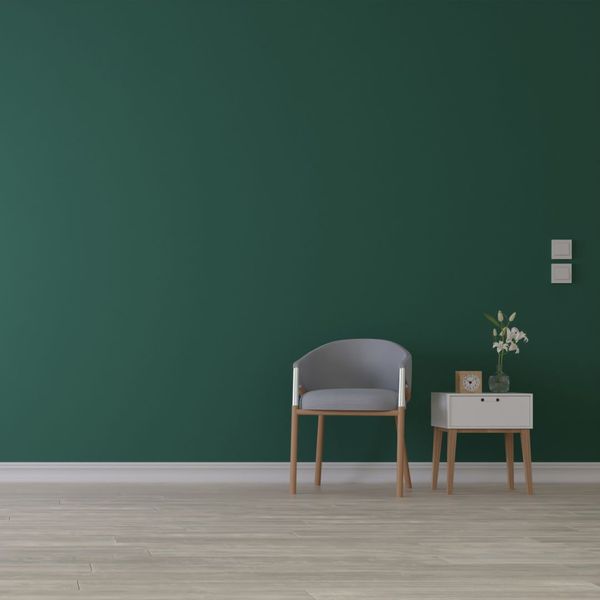 Neutral vs. Bold_ Finding Your Interior Painting Style.Image2.jpg