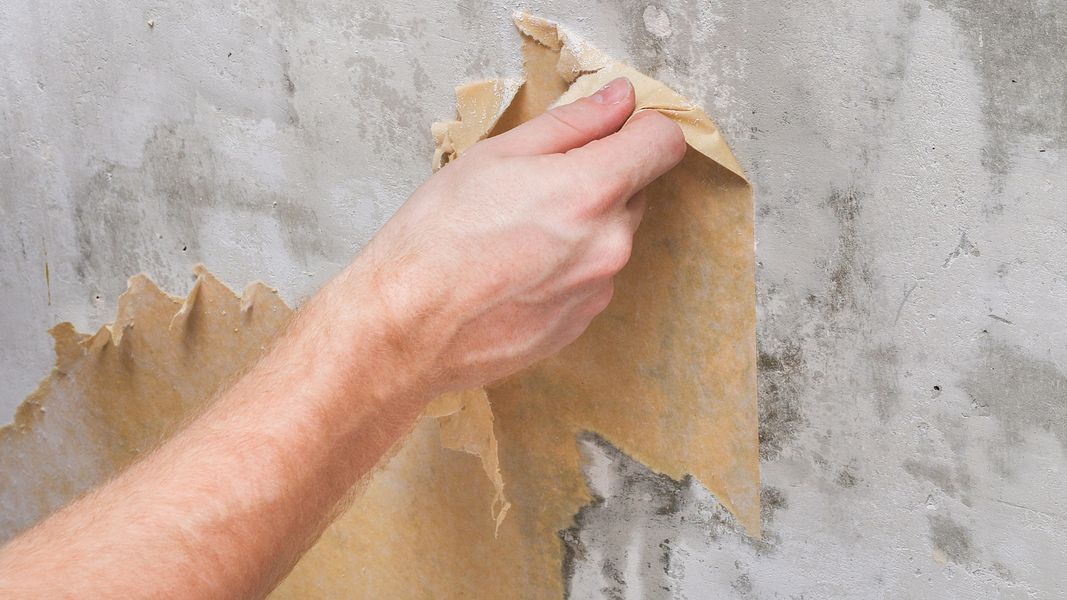 HERO-The Ultimate Guide to Wallpaper Removal.jpg