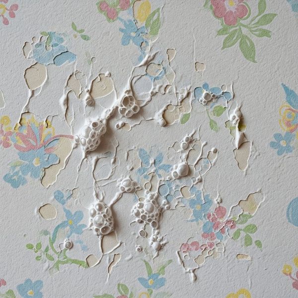 bubbled and torn wallpaper after DIY methods