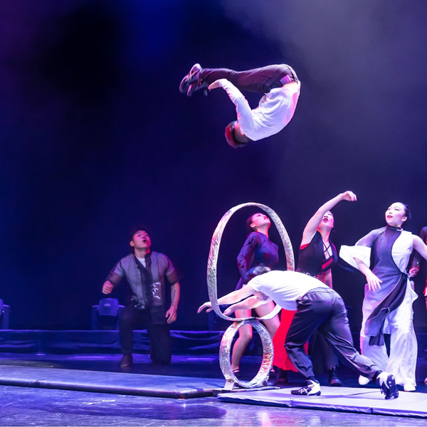 acrobats hoop diving