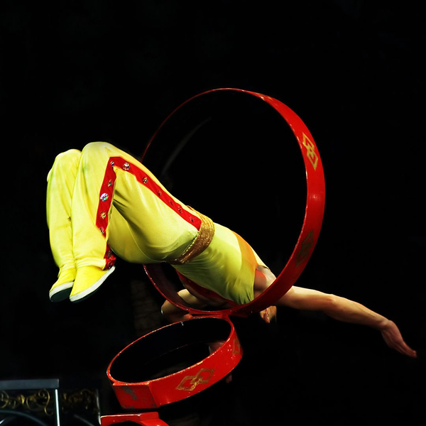 acrobat hoop diving