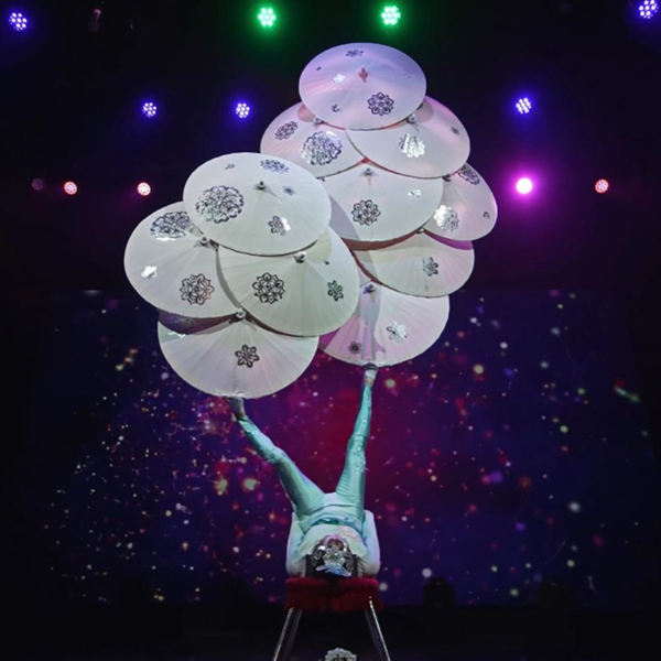 Welcome to Shanghai Circus - Image 4.jpg