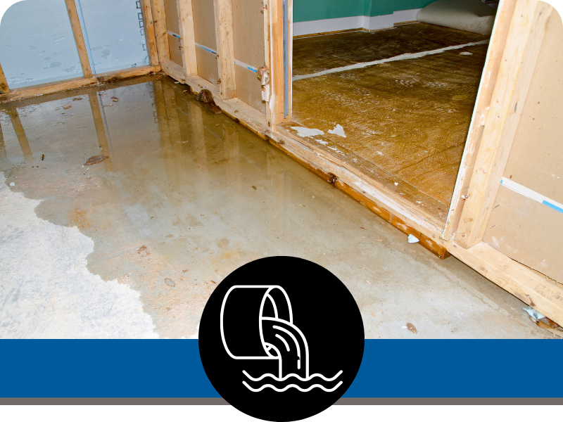 Sewage Damage Restoration