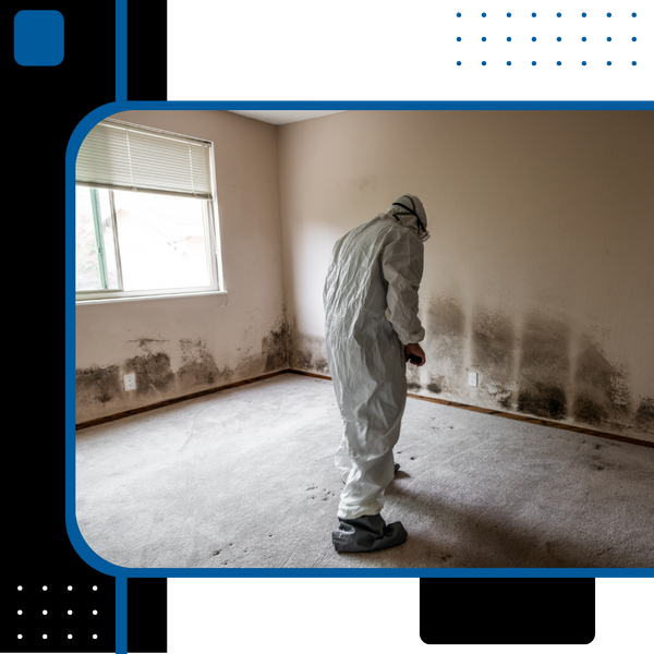 Inspecting mold on home walls 