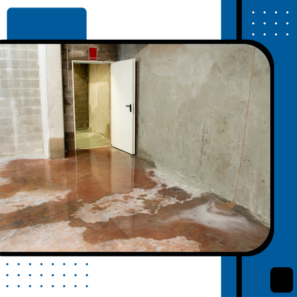 water damage in basement 