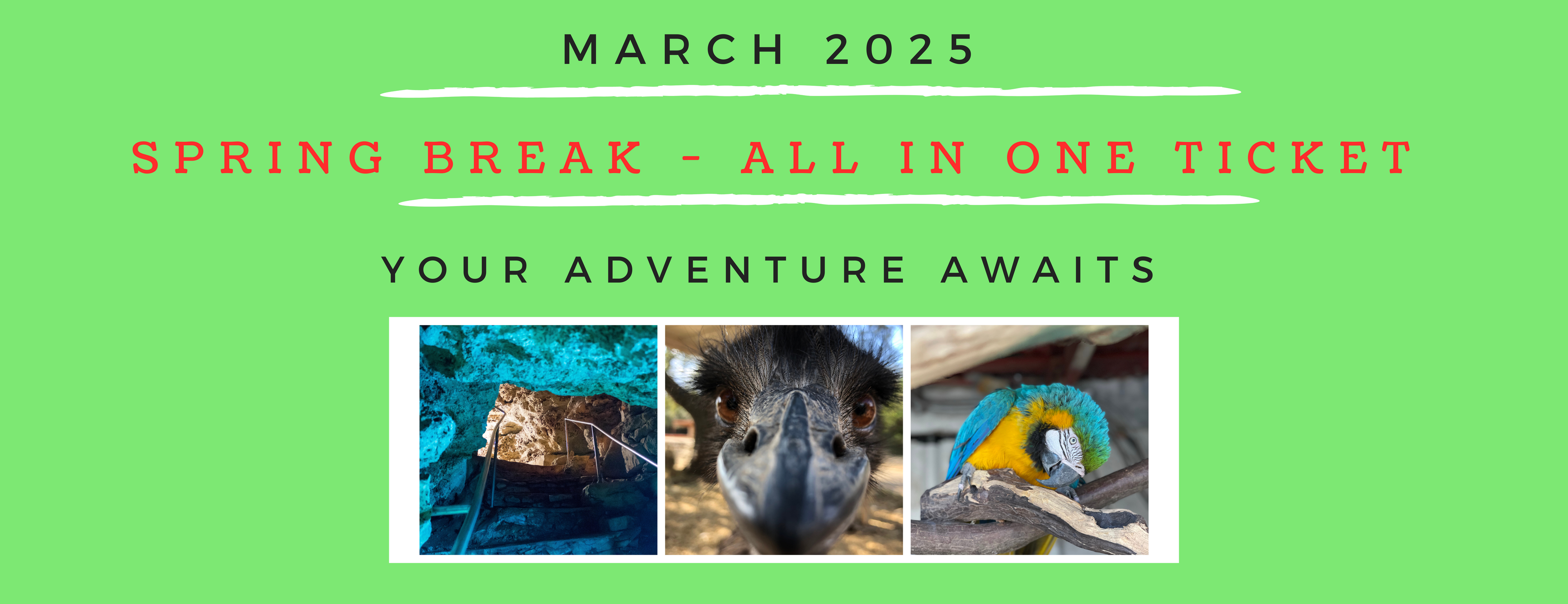 Pastel Blue Photo Grid Spring Break Sale Facebook Post (83 x 32 in)-2.png