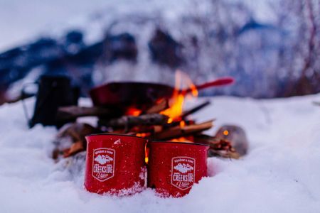 mugs in the snow