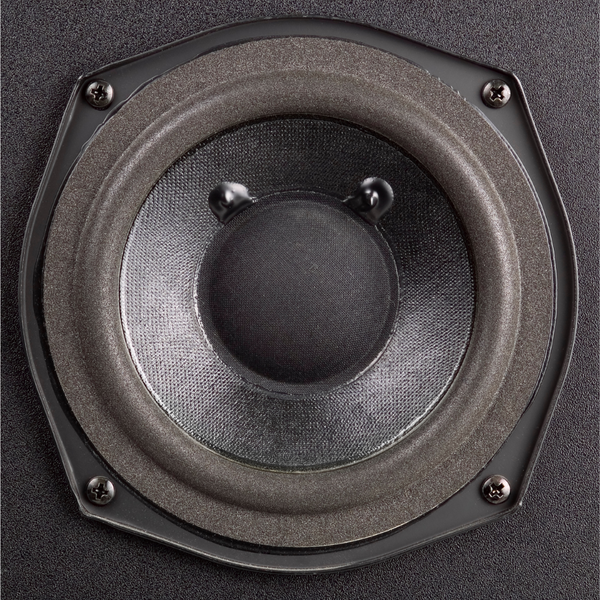 Subwoofers What Are They & Do You Need One - C1556 - GS Sounds.png