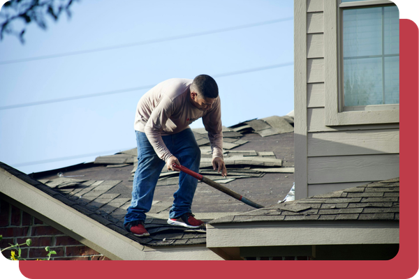 Insurance Claims image 1.png