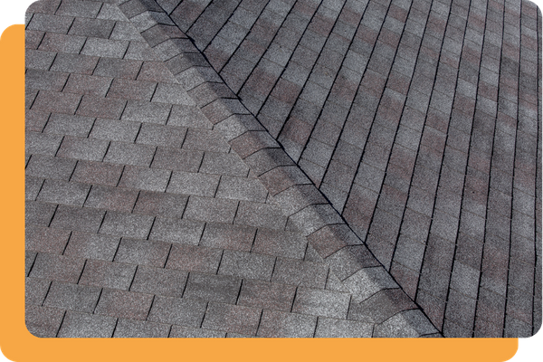 Why Choose Us image 2.png