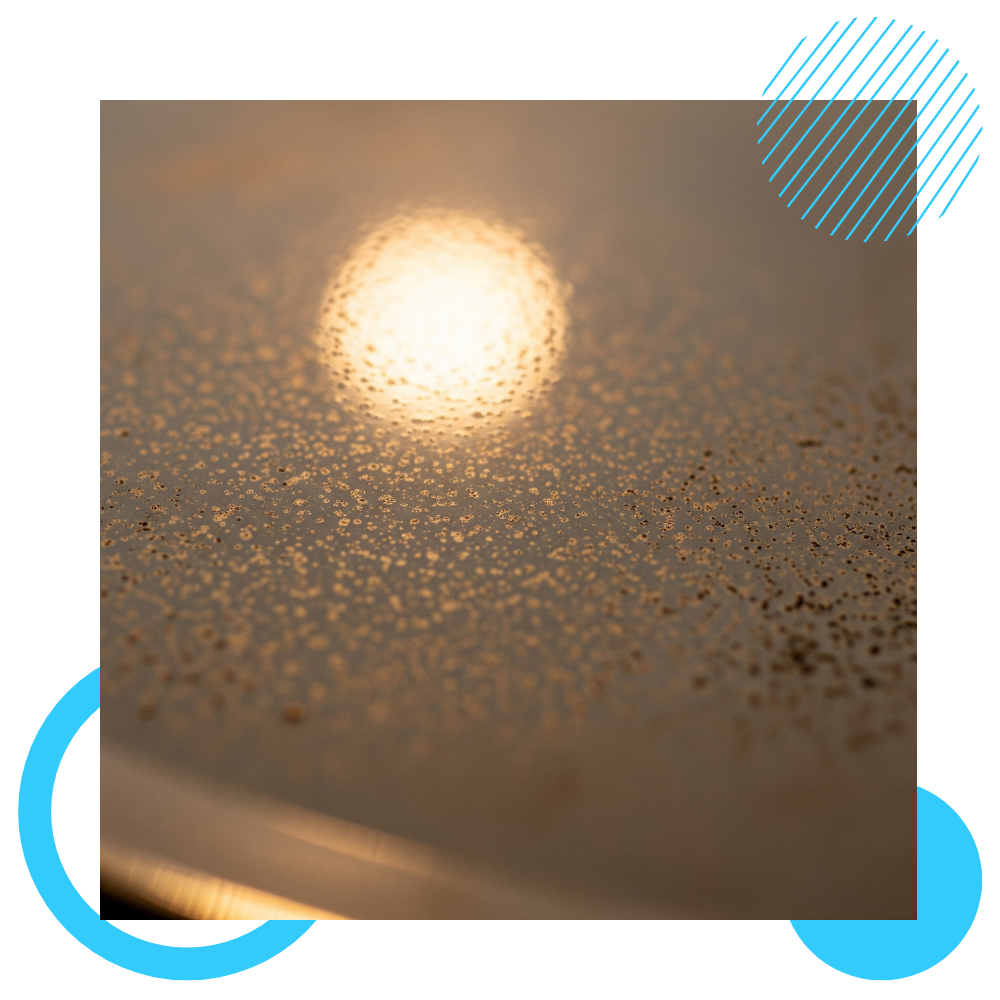 Antique Mirrors 1.png