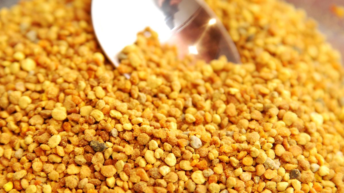 beepollen.jpg